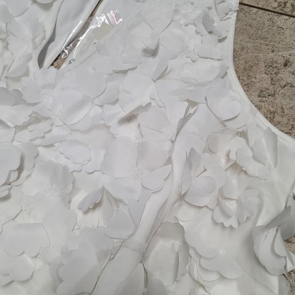 NWT BHLDN Sleeveless 3D Floral V-Neck Swing Mini Dress Pure White - Picture 4 of 7